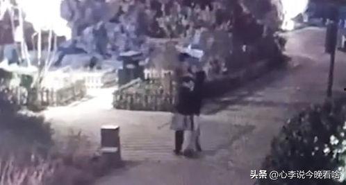 株洲吃瓜视频曝光事件,网络曝光引发社会关注与热议