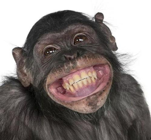 女的吃哈密瓜变猩猩视频,女子食用后惊现奇异变化