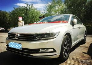 迈腾b8视频吃瓜,一场惊心动魄的“吃瓜”之旅