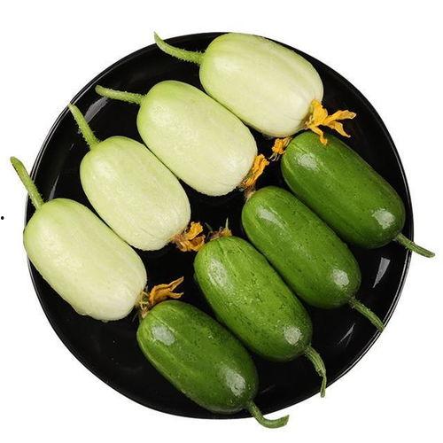 吃的瓜如何收集种子呢视频,跟着视频学种瓜