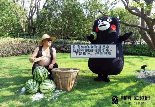 深圳平湖吃瓜事件真相视频,真相视频曝光背后的真相