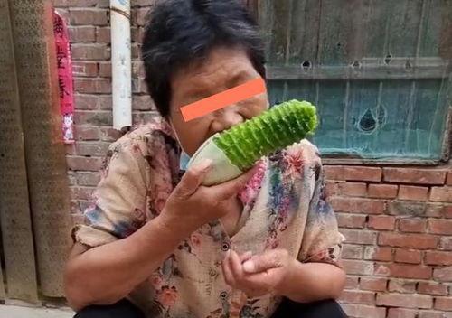 河南网友吃瓜视频大全,揭秘网络热点背后的故事