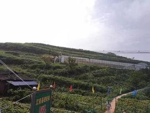 南昌白塔岭吃瓜事件视频,一场网络热议的街头冲突纪实