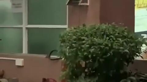 莱州最新吃瓜新闻视频,揭秘事件背后惊人真相