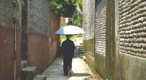 古镇吃瓜群众事件视频播放,一场网络视频引发的全民热议