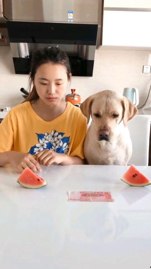 吃瓜比赛全部视频大全最新,全网视频大汇总