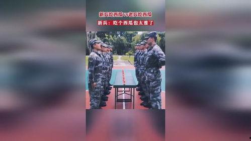 新兵老兵吃瓜视频播放全集