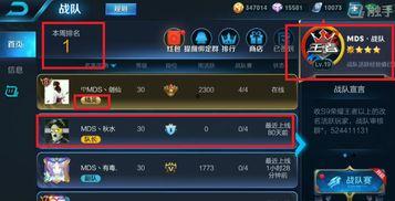 大西瓜组建吃瓜战队视频,欢乐集结，共赏瓜界盛宴