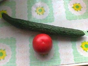 吃瓜可爱视频大全,笑点满满，快来一睹为快！