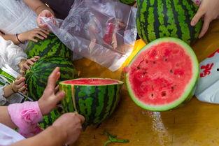 广东湛江吃瓜视频,一场视觉与味蕾的双重盛宴