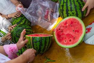 吃瓜捞的视频,揭秘热门视频背后的故事与真相