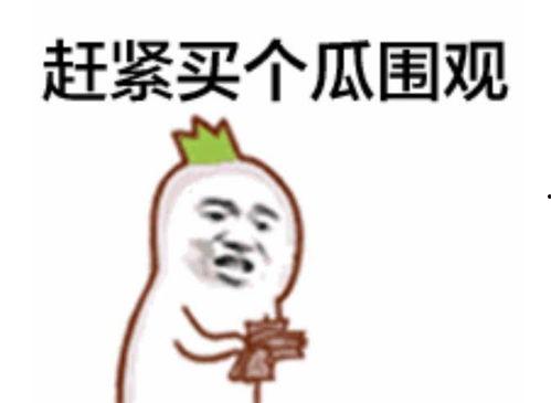 吃瓜群众拍手游戏视频,揭秘吃瓜群众拍手游戏的热潮