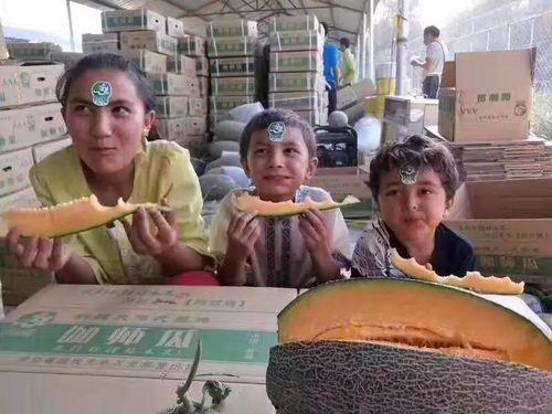 柳州的吃瓜视频