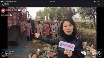 吃瓜群众李大姐视频,揭秘娱乐圈幕后真相