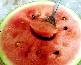 吃脆瓜最难的视频,揭秘吃脆瓜最难的惊人瞬间