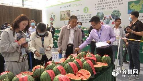 百里挑一吃瓜完整视频,揭秘热门视频背后的精彩瞬间