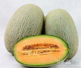 金星吃哈密瓜视频大全集,趣味横生的美食短视频集锦