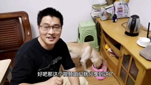 吃瓜视频不挑食是真的吗,揭秘真实饮食习惯