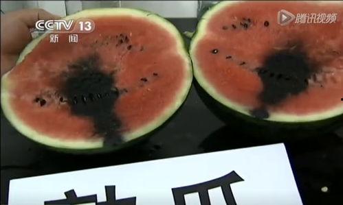 吃瓜群众的大餐视频,一场视觉与味蕾的双重盛宴