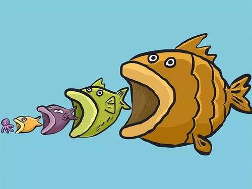 大黄小鱼吃瓜视频大全集,趣味横生的欢乐时光回顾